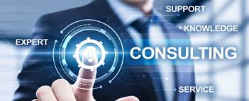 IT consulting and support services