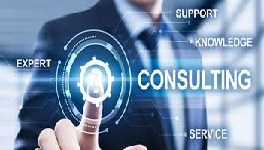 IT consulting