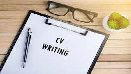 Professional CV Writing